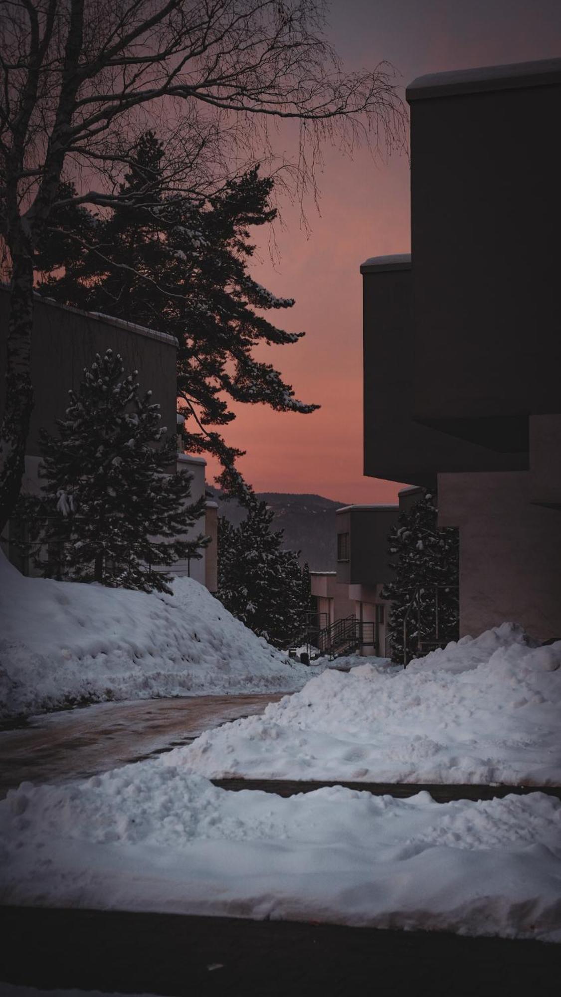 Apartmán Bosky