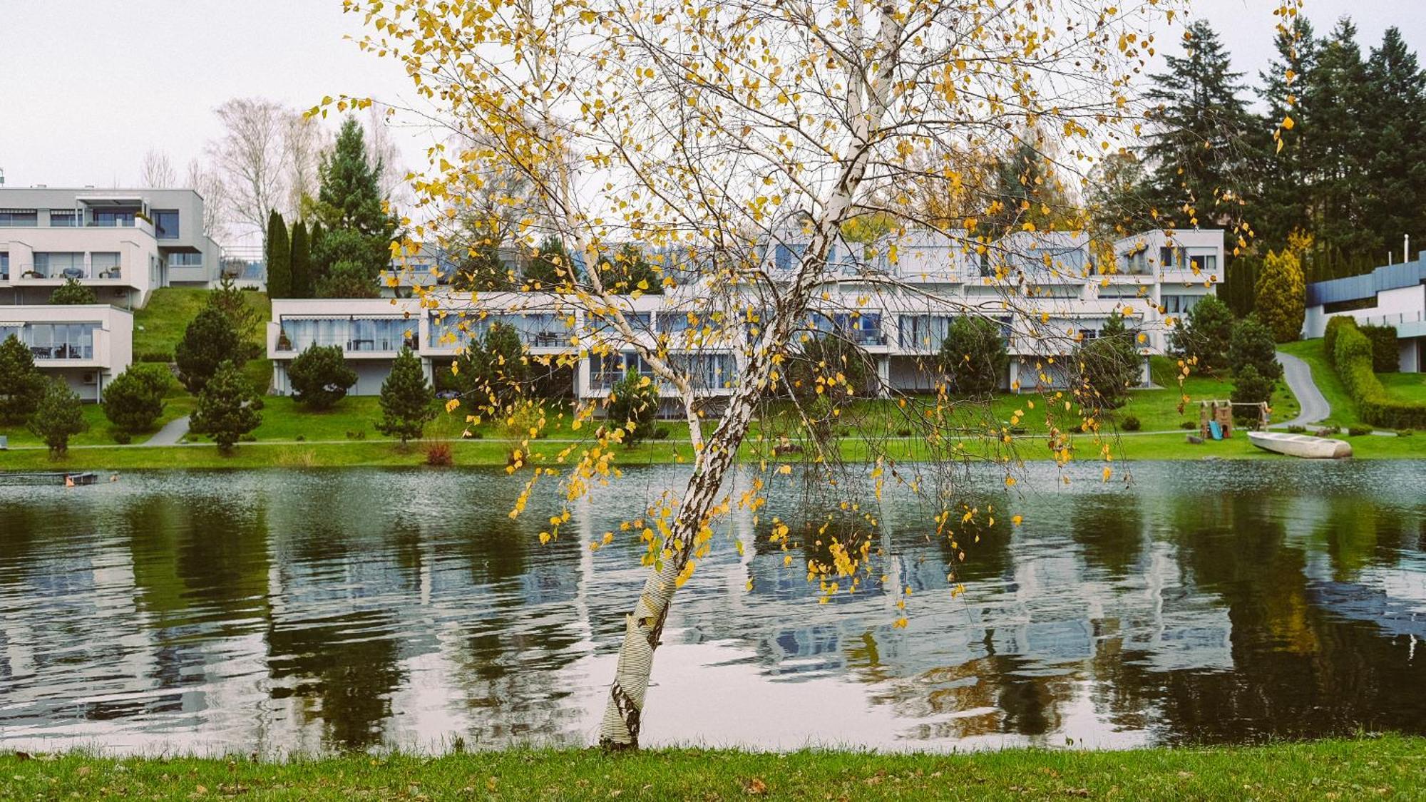Bosky Apartmán