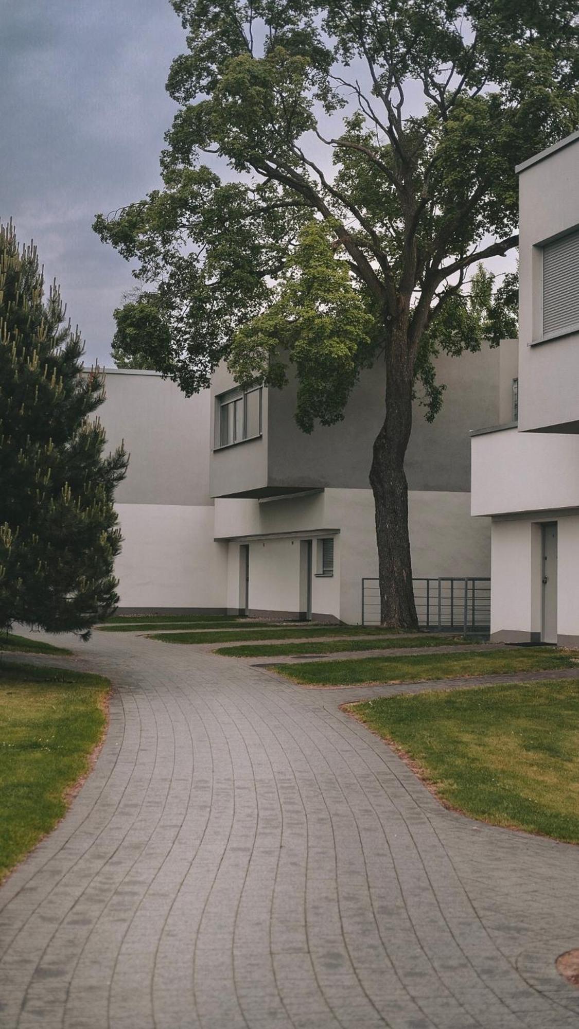 Bosky Apartment